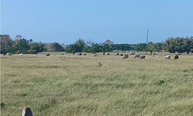 Finca en venta en Puerto Escondido Cordoba
