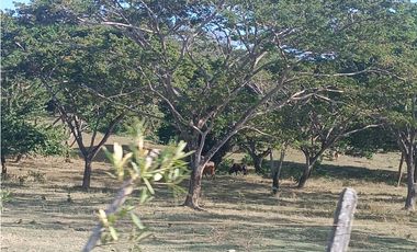 Finca en venta en Puerto Escondido Cordoba