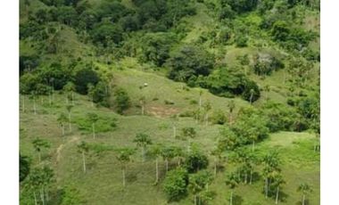 Finca en venta en Córdoba cerca de Montería