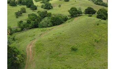 Finca en venta en Córdoba cerca de Montería