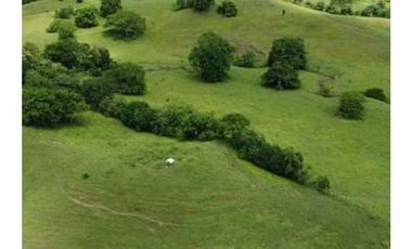 Finca en venta en Córdoba cerca de Montería