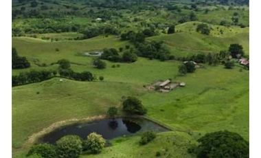 Finca en venta en Córdoba cerca de Montería