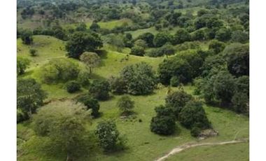 Finca en venta en Córdoba cerca de Montería