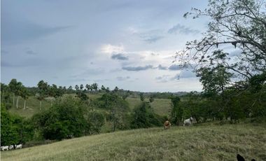 Finca en venta en Córdoba cerca de Montería