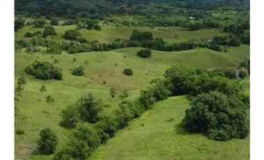 Finca en venta en Córdoba cerca de Montería