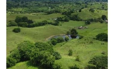 Finca en venta en Córdoba cerca de Montería