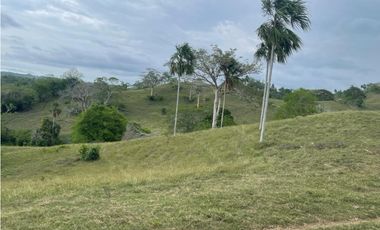 Finca en venta en Córdoba cerca de Montería