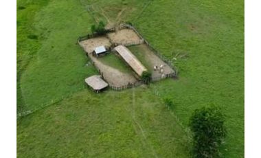 Finca en venta en Córdoba cerca de Montería
