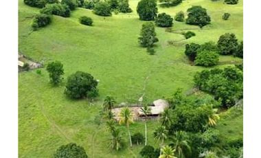Finca en venta en Córdoba cerca de Montería