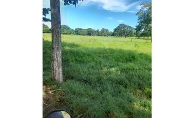 Finca en venta en Córdoba cerca de Montería