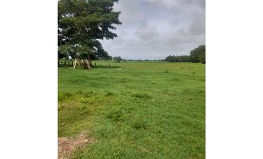 Finca en venta en Córdoba cerca de Montería
