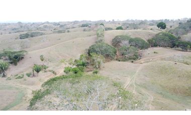 Finca en venta en los Córdobas  cerca de Monteria