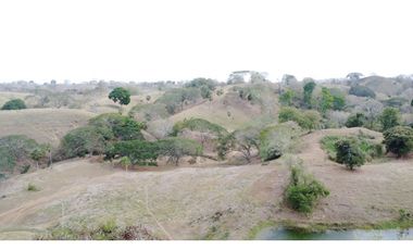 Finca en venta en los Córdobas  cerca de Monteria