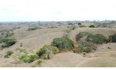 Finca en venta en los Córdobas  cerca de Monteria