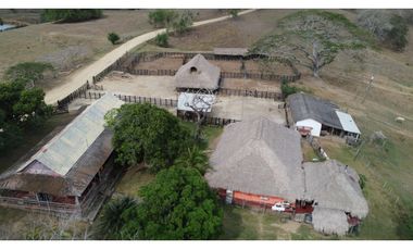 Finca en venta en los Córdobas  cerca de Monteria