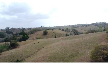 Finca en venta en los Córdobas  cerca de Monteria