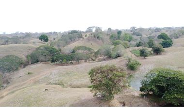 Finca en venta en los Córdobas  cerca de Monteria