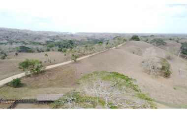 Finca en venta en los Córdobas  cerca de Monteria