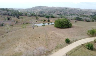 Finca en venta en los Córdobas  cerca de Monteria