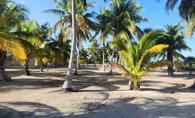 Casa en Telchac puerto con 2,844 mts2 de Terreno
