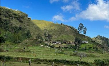 Finca Agropecuaria en Venta en Santo Domingo Antioquia