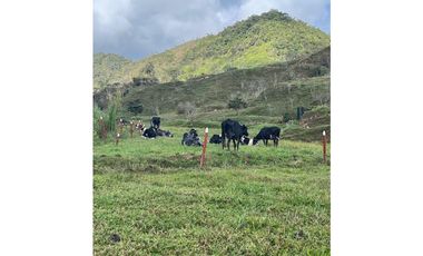 Finca Agropecuaria en Venta en Santo Domingo Antioquia