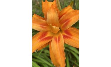 Finca Agropecuaria en Venta en Santo Domingo Antioquia