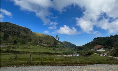 Finca Agropecuaria en Venta en Santo Domingo Antioquia