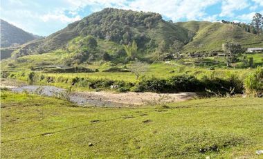 Finca Agropecuaria en Venta en Santo Domingo Antioquia