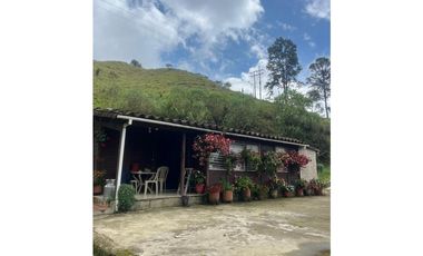 Finca Agropecuaria en Venta en Santo Domingo Antioquia
