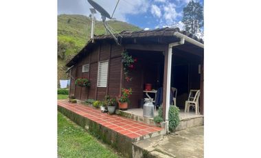 Finca Agropecuaria en Venta en Santo Domingo Antioquia