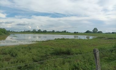 Venta de finca ganadera en Cordoba Ayapel