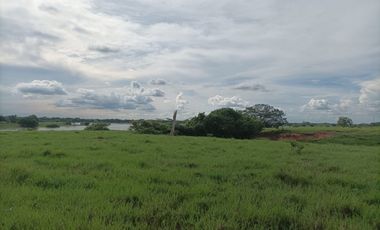 Venta de finca ganadera en Cordoba Ayapel