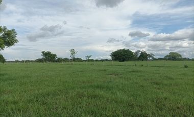 Venta de finca ganadera en Cordoba Ayapel