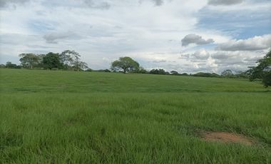 Venta de finca ganadera en Cordoba Ayapel