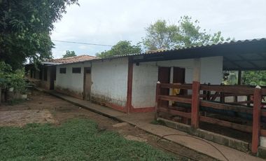 Venta de finca ganadera en Cordoba Ayapel