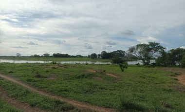 Venta de finca ganadera en Cordoba Ayapel