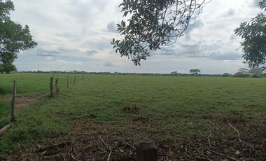 Venta de finca ganadera en Cordoba Ayapel
