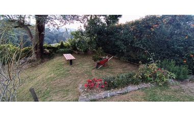 Venta de cabaña en Santa Elena Vereda El Cerro