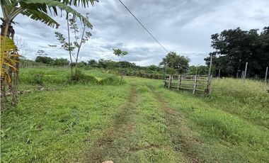 Venta de finca en Balita, Tinajas, Chiriquí