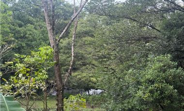 Venta de finca en Balita, Tinajas, Chiriquí