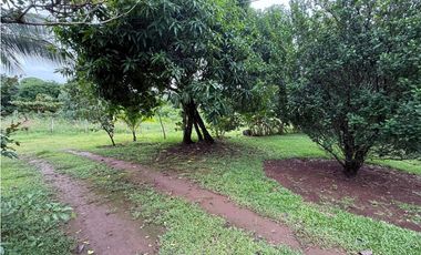 Venta de finca en Balita, Tinajas, Chiriquí