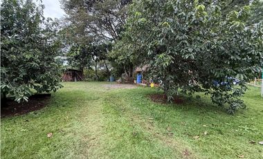 Venta de finca en Balita, Tinajas, Chiriquí