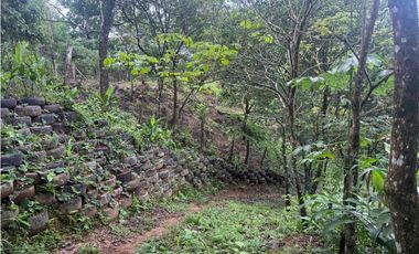 Venta de finca en Balita, Tinajas, Chiriquí