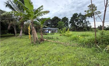 Venta de finca en Balita, Tinajas, Chiriquí