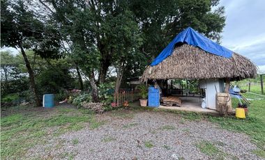 Venta de finca en Balita, Tinajas, Chiriquí