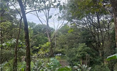 Venta de finca en Balita, Tinajas, Chiriquí