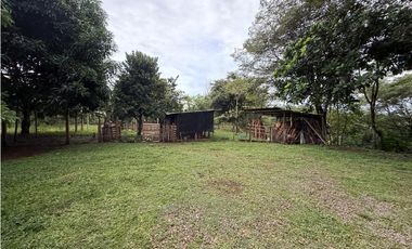 Venta de finca en Balita, Tinajas, Chiriquí