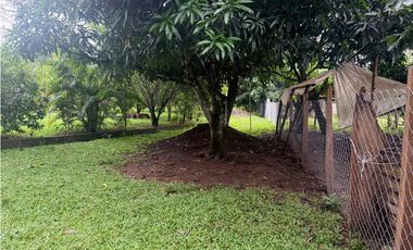 Venta de finca en Balita, Tinajas, Chiriquí
