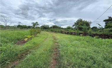 Venta de finca en Balita, Tinajas, Chiriquí
